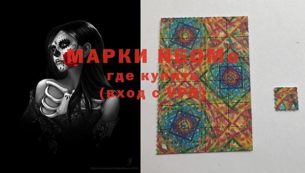 ешки Аркадак