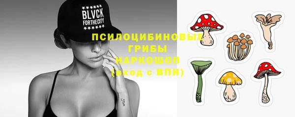 эйфоретик Арсеньев