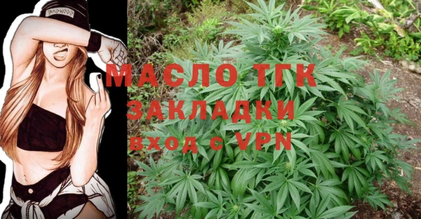 эйфоретик Арсеньев