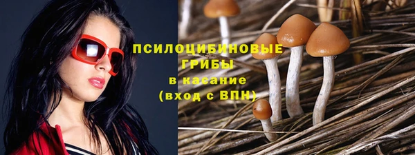 крисы Сясьстрой