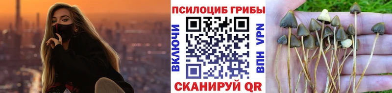 продажа наркотиков Южно-Сухокумск Псилоцибиновые грибы мицелий