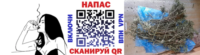 Бошки Шишки White Widow  Южно-Сухокумск 